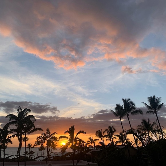 Meet your Posher, Katie - Picture 1 of 1